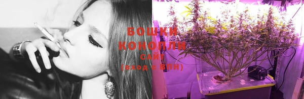 индика Белокуриха