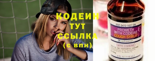 индика Белокуриха