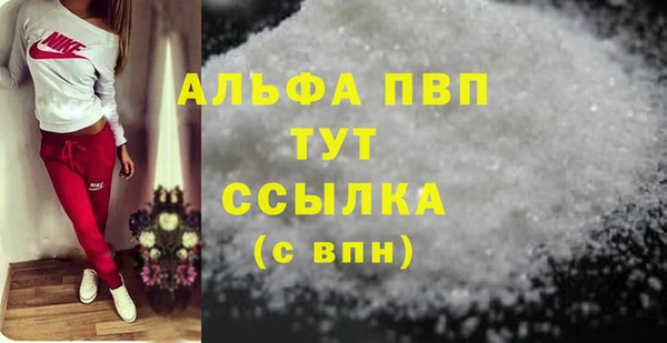 индика Белокуриха