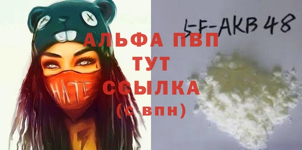 индика Белокуриха