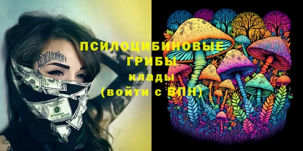индика Белокуриха