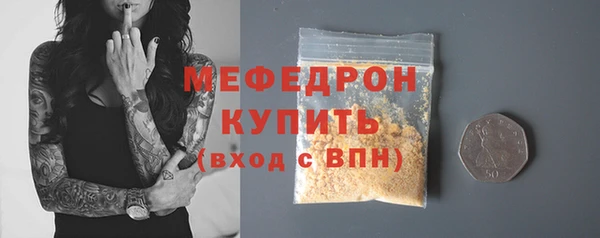 индика Белокуриха