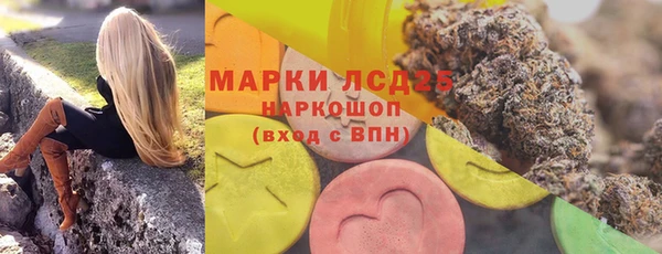 СК Бородино