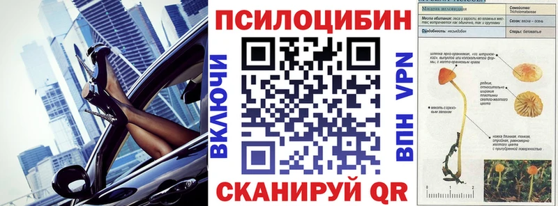 МЕГА сайт  купить закладку  Ирбит  Галлюциногенные грибы мухоморы 